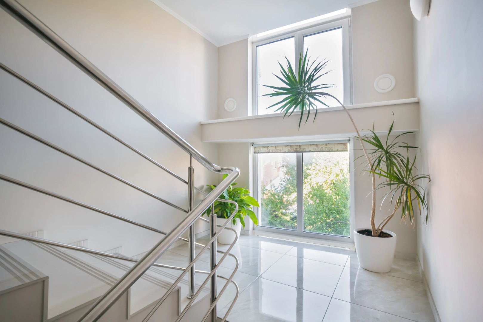 Отель Абрикос Плюс