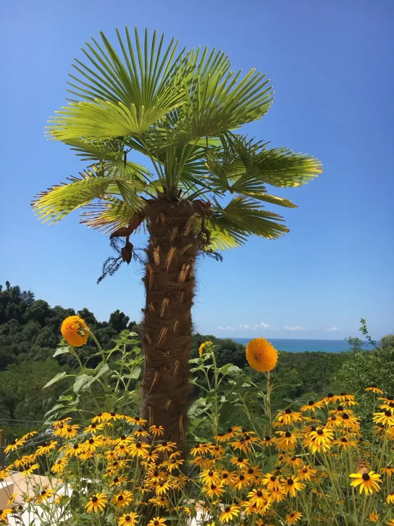 Апарт-Отель VillaRomano