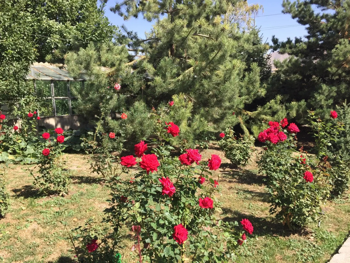 Гостевой Дом Ранчо