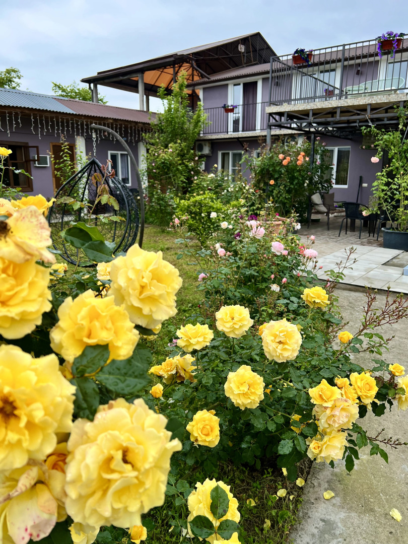 Гостевой дом Роза