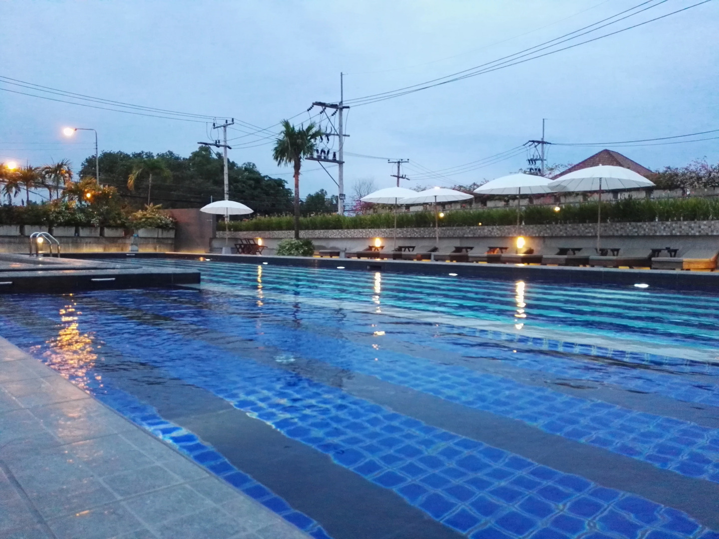 Отель The Mangrove