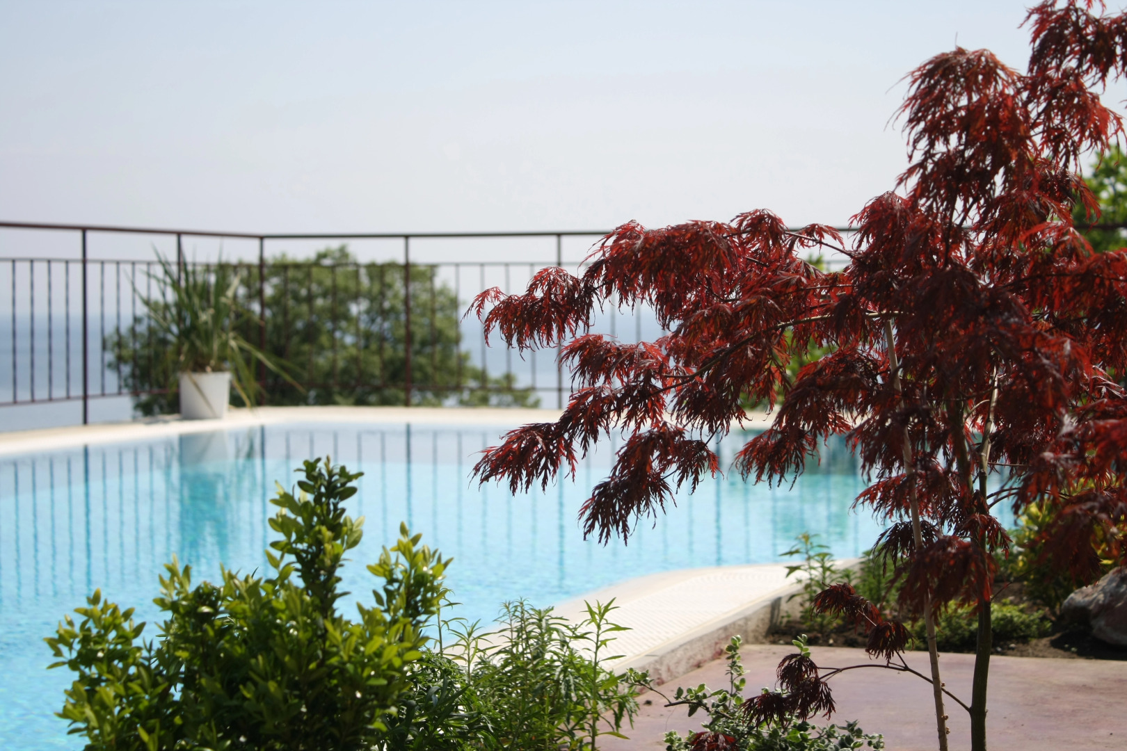 Гостевой Дом Вилла Аккорд