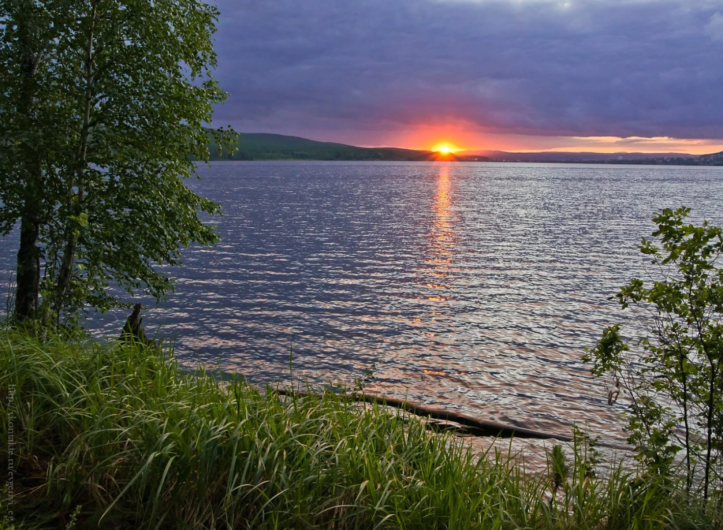 Хостел Чемпион