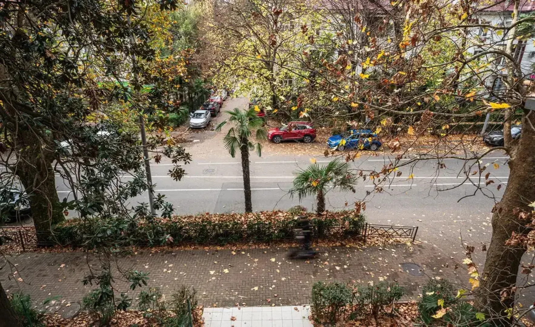 Апартаменты в Центре Сочи