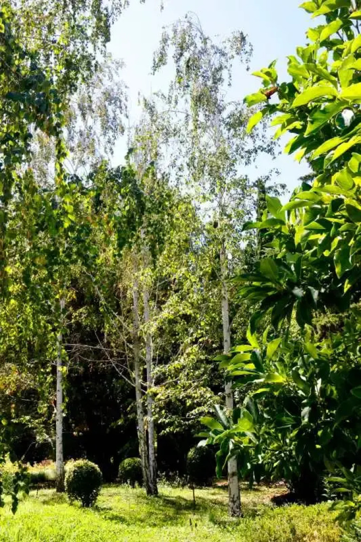 Отель Узбекистан