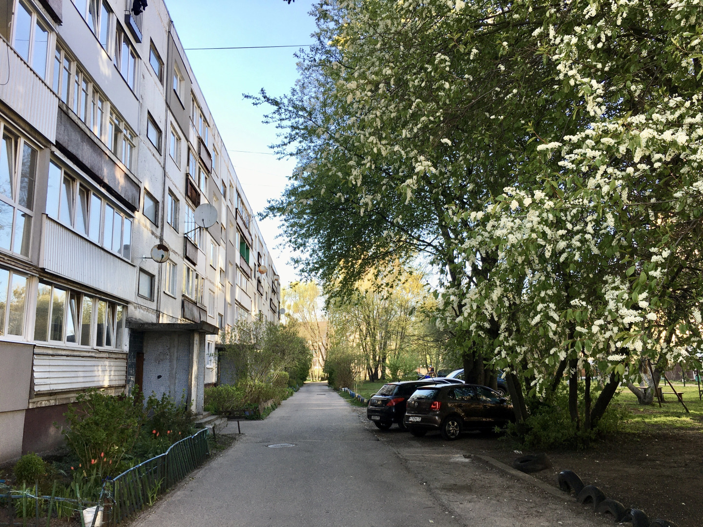 Квартира 2-х комнатная Amber apartment