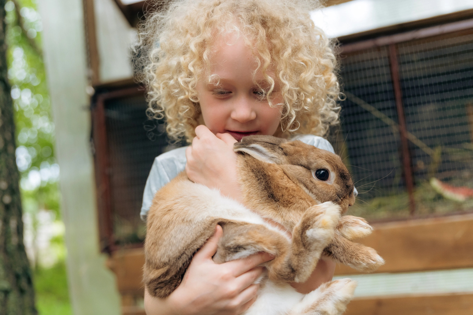 Глэмпинг Urman camp