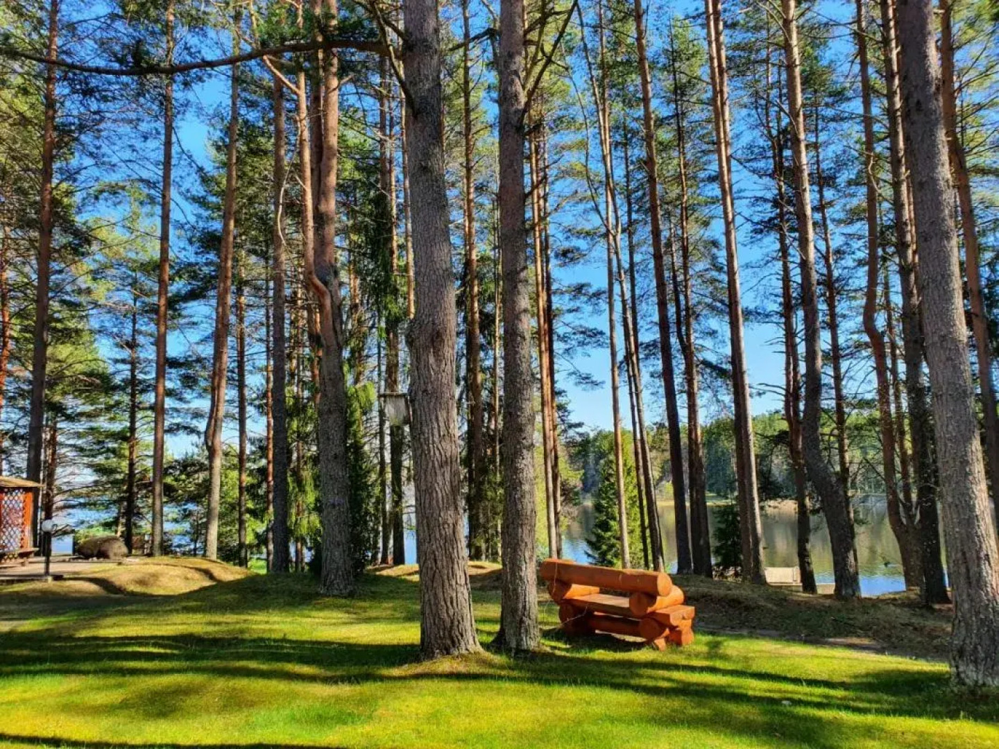 Отель Дивный Мир Хижина