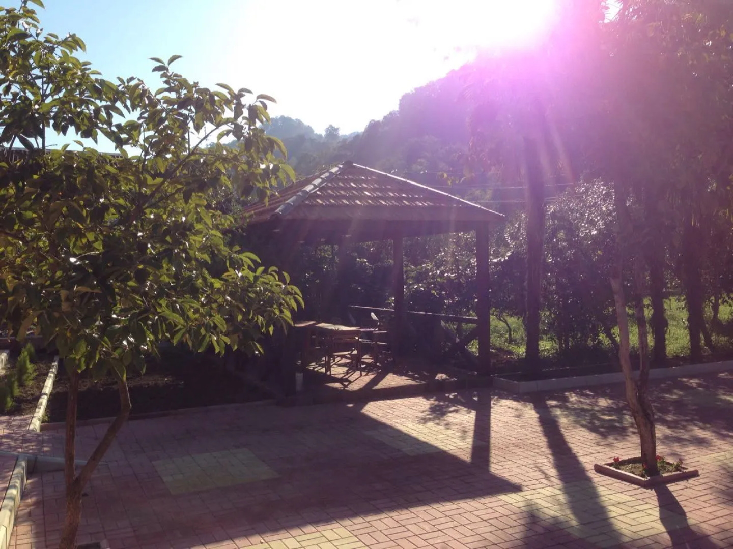 Отель ДжаНат