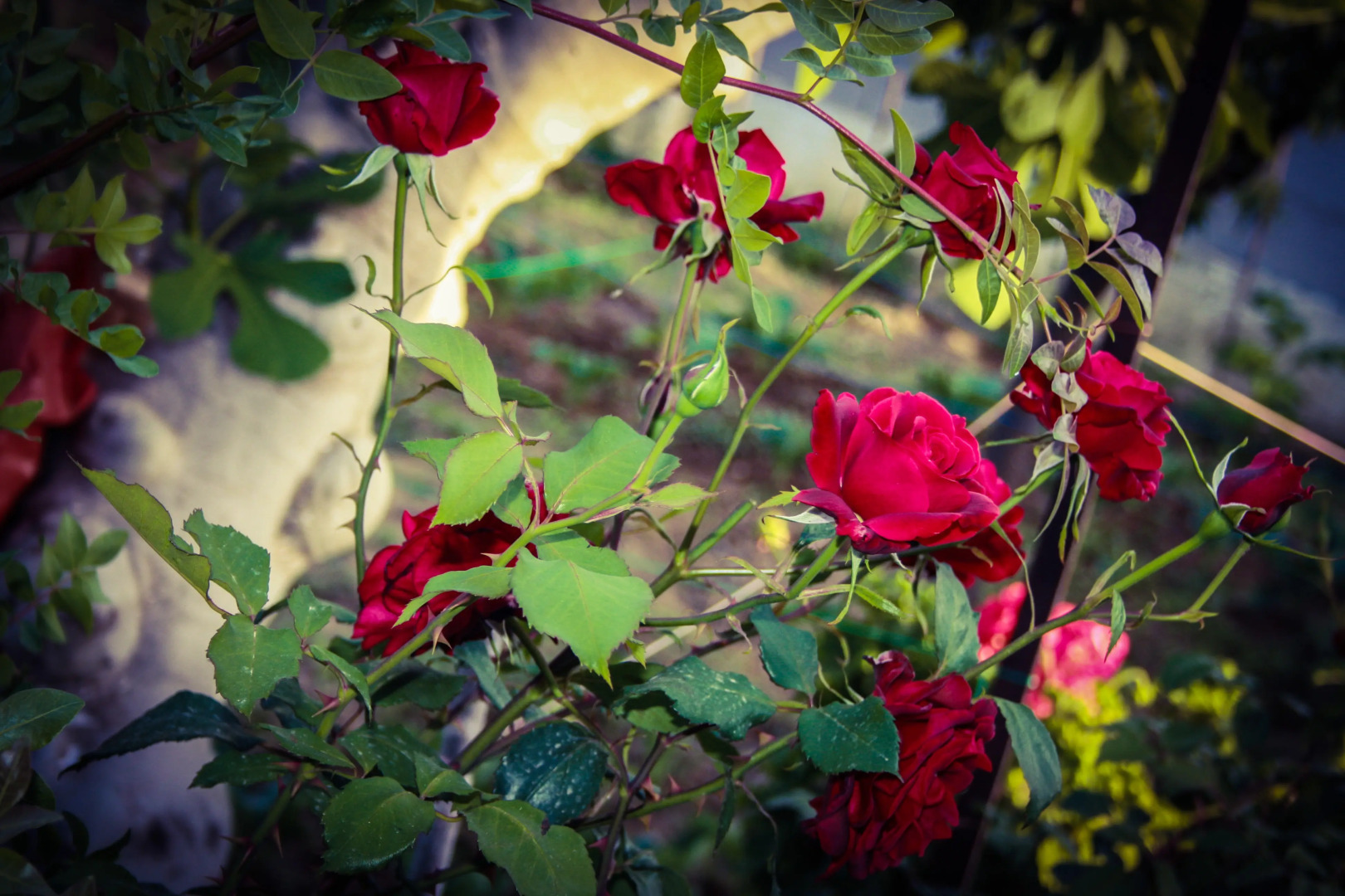 Гостевой дом AlGreco