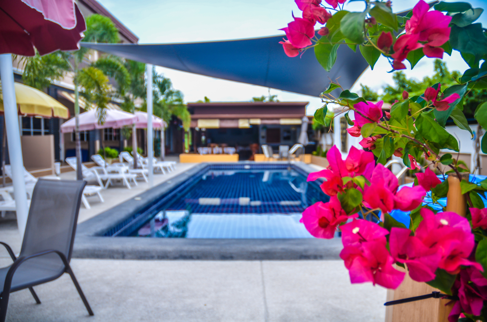 Отель 4 Palms Resort