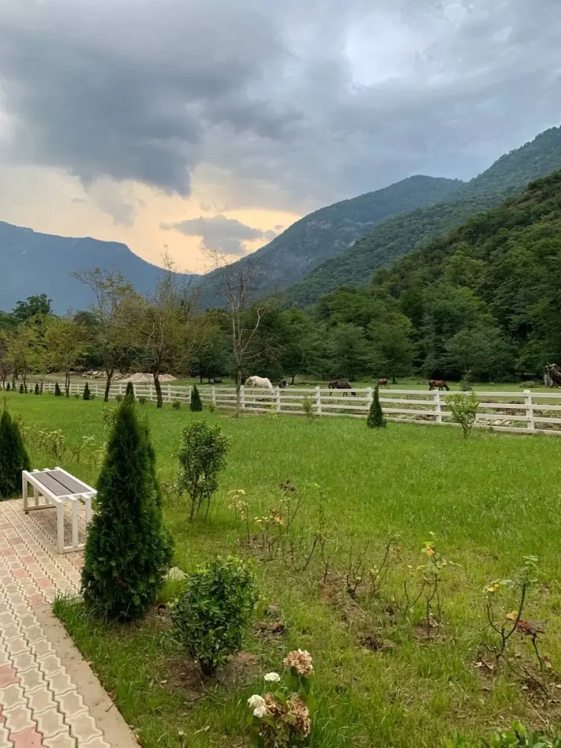 Отель Chalet Bridge Eko