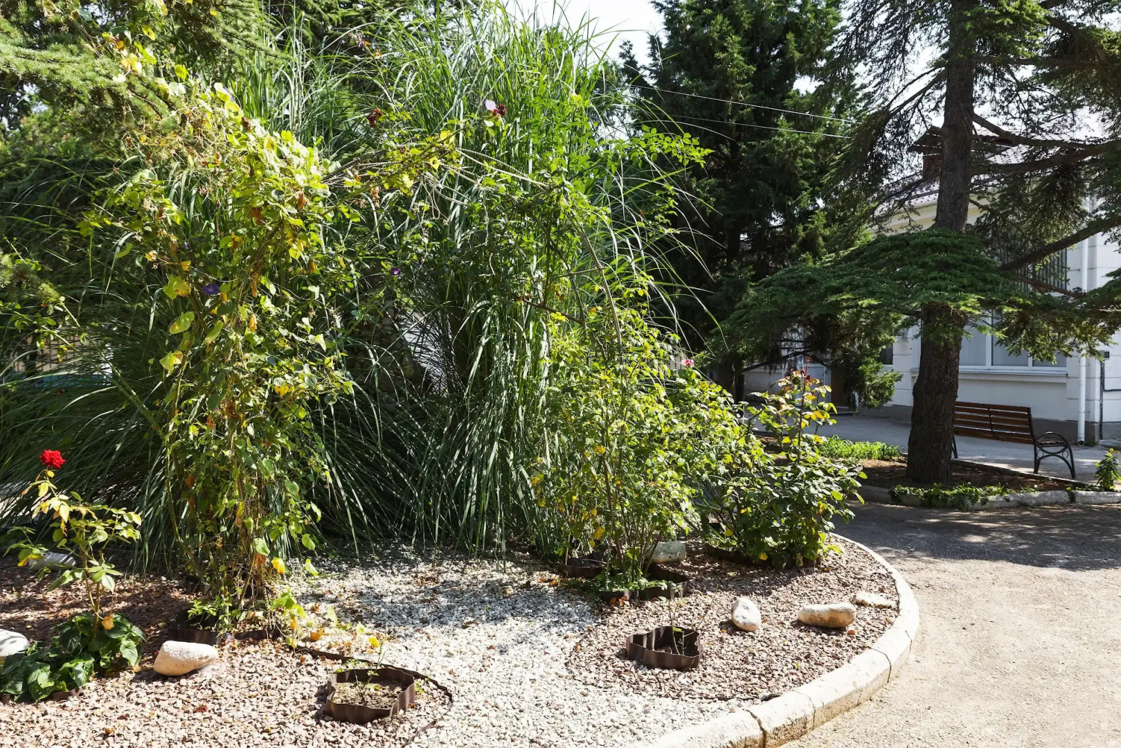 Санаторий Прибой