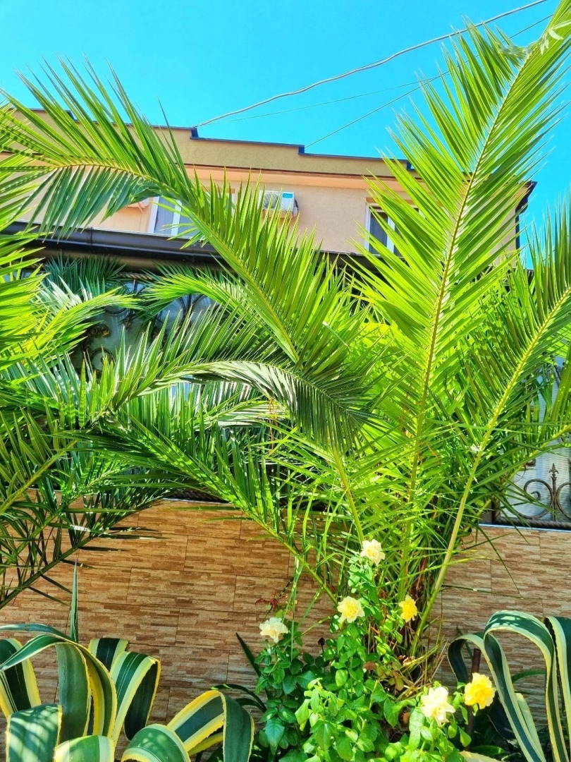 Курортный Гостевой Дом Лооленд