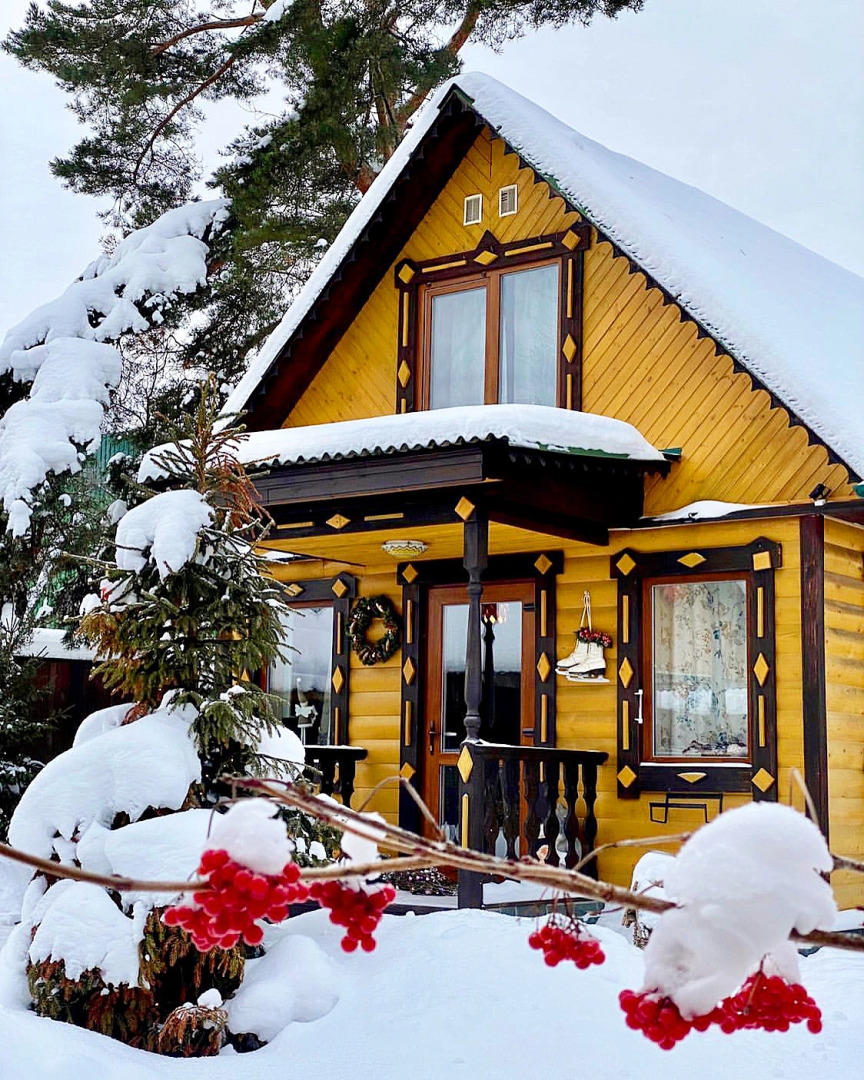 Гостевой дом Дом Шишки