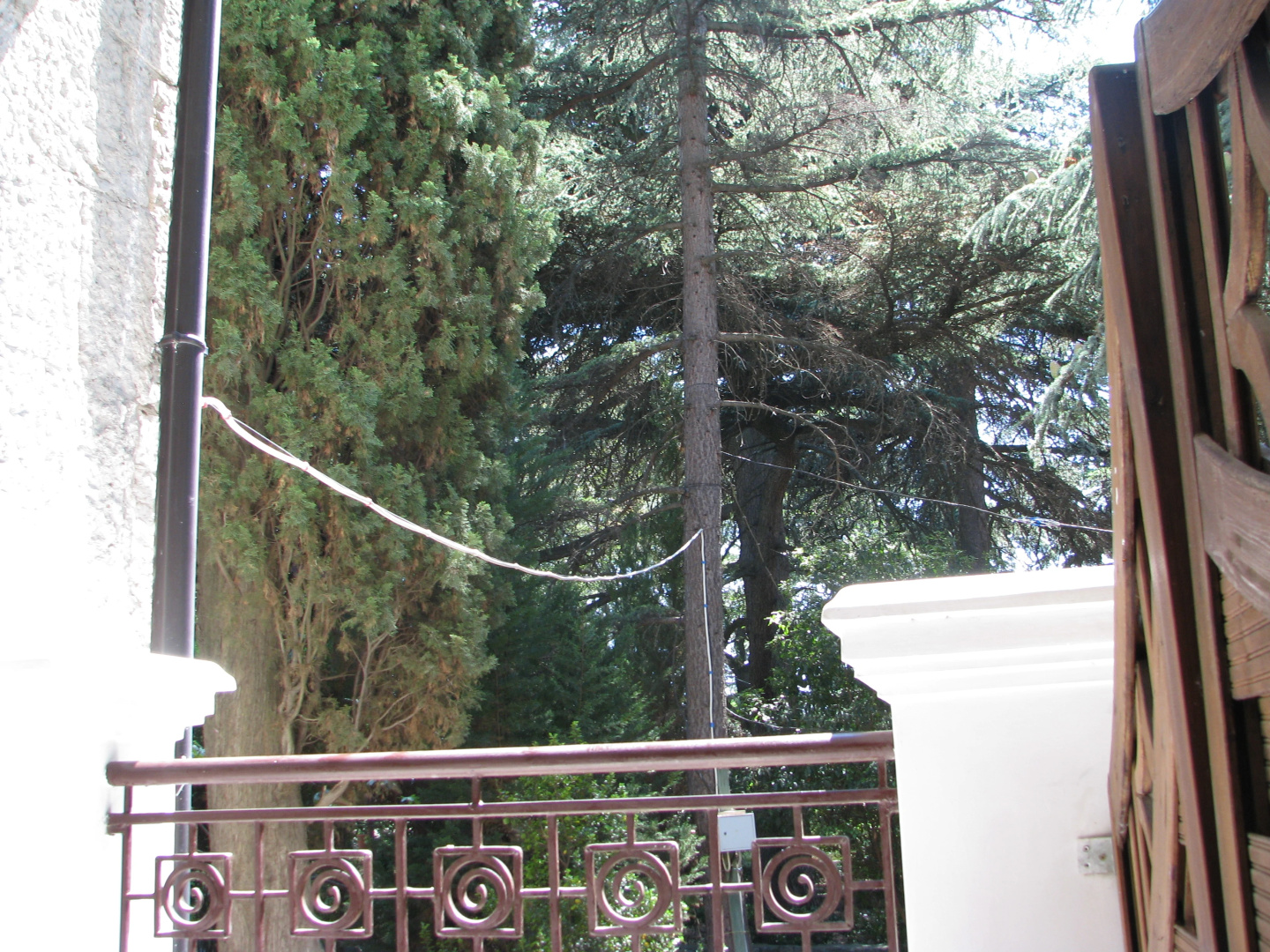 Санаторий Resort im Sechenova