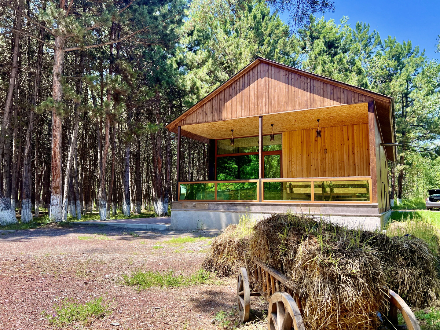 Курортный отель Milenium