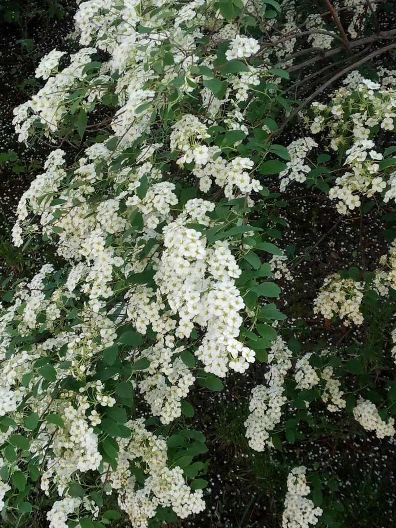 Гостевой дом Космос