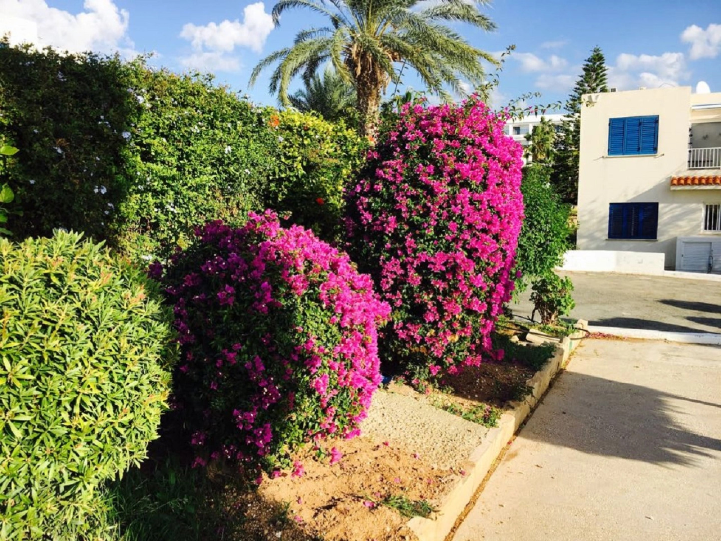 Апартаменты в Като Пафос