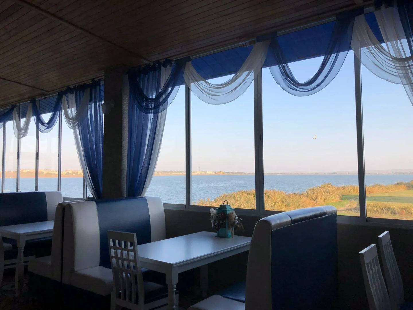 Отель Дельфин