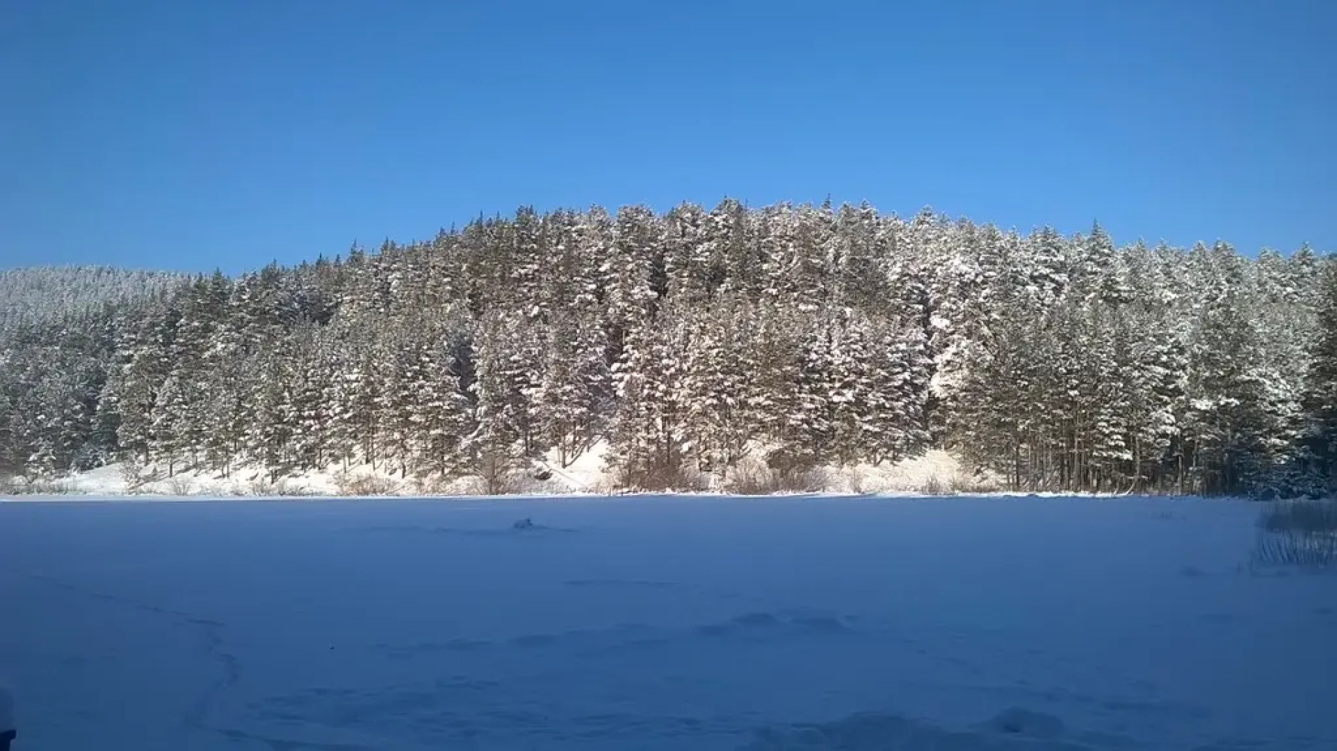 База Отдыха Сова