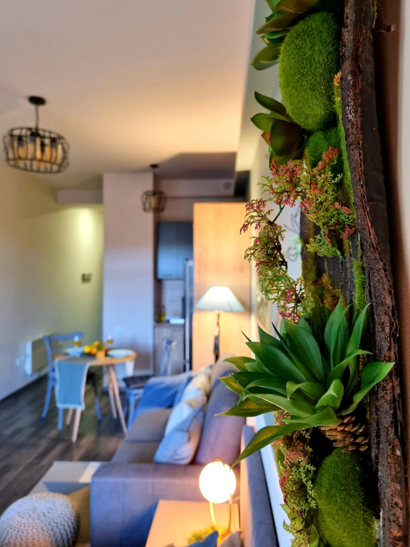 Nature View Designer Studio