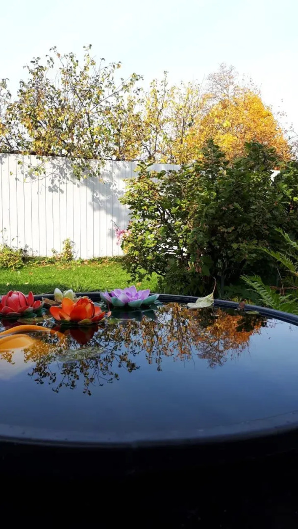 Гостевой дом в Центральном Парке