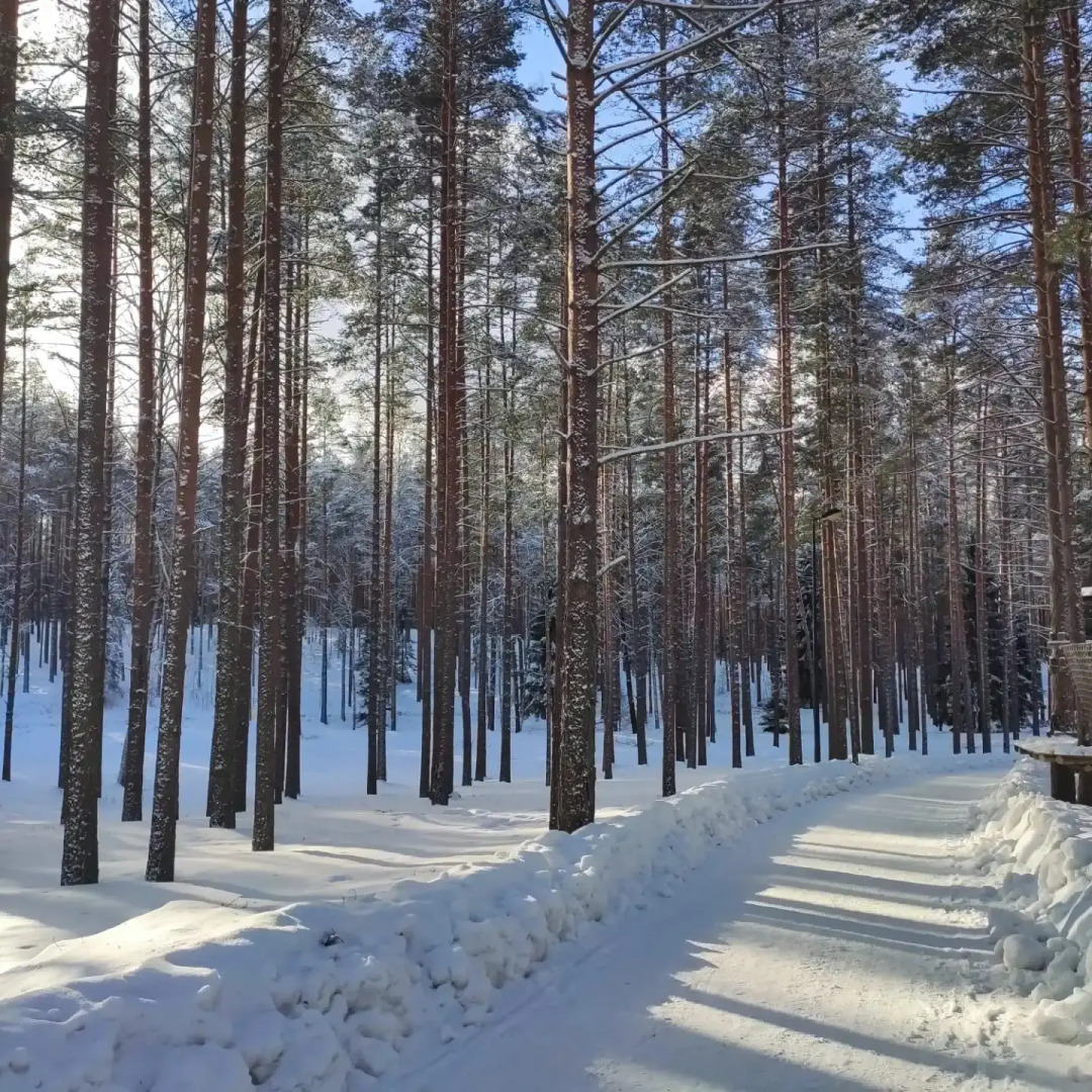 Частный дом DavinciApart