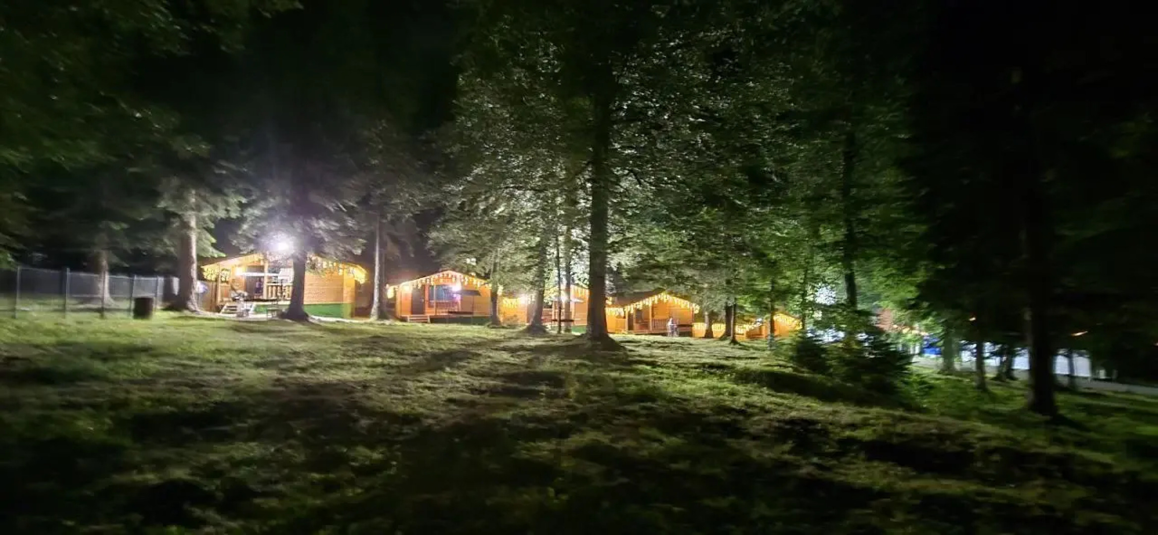 Горная Мята