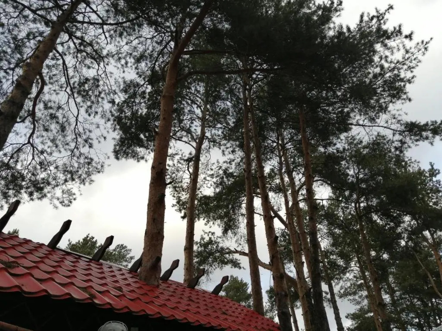 Гостиница Рубикон