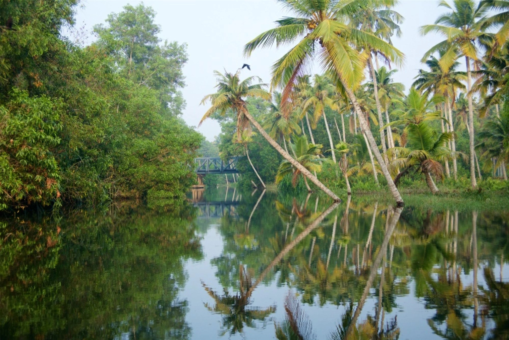 Отель Poovar Island Resort