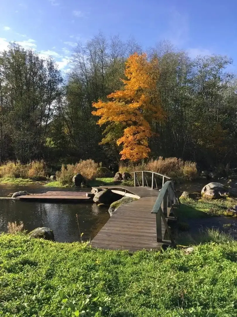 Усадьба Ястребино коттедж Нижний Дом