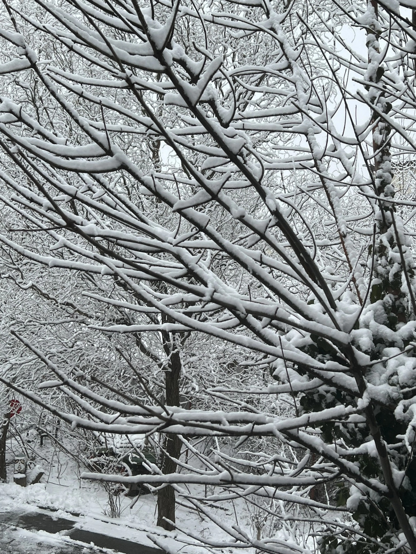 Михайловские Бани