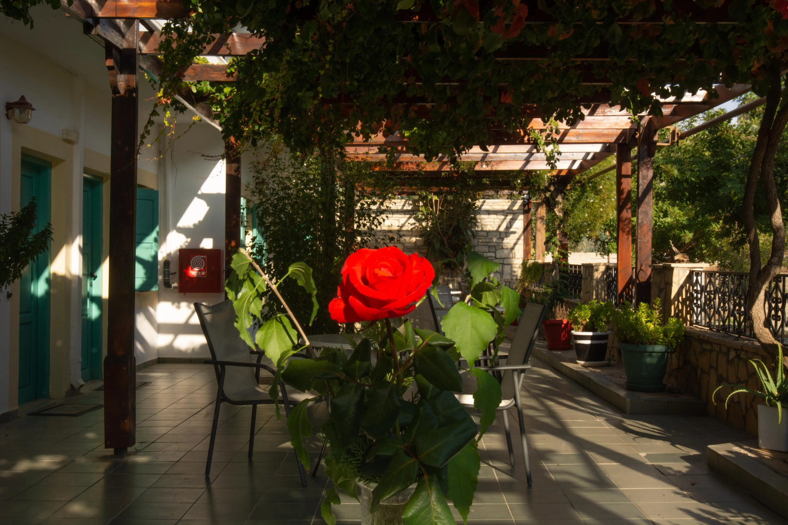 Отель Matala Dimitris