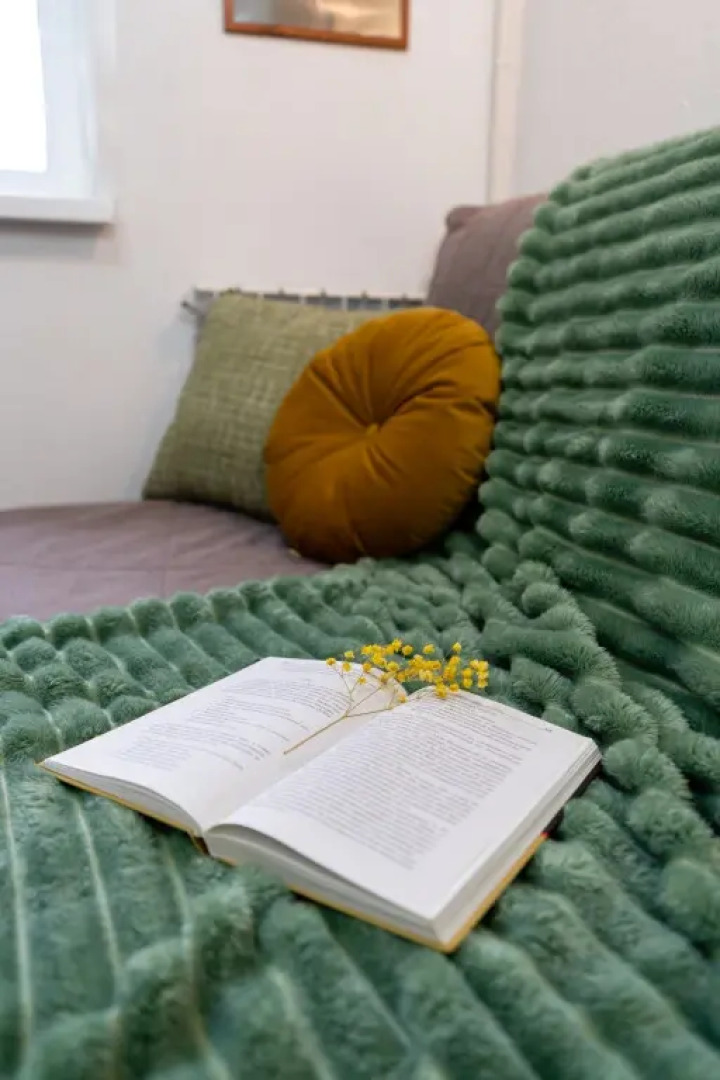 Квартира Пушкинский 1