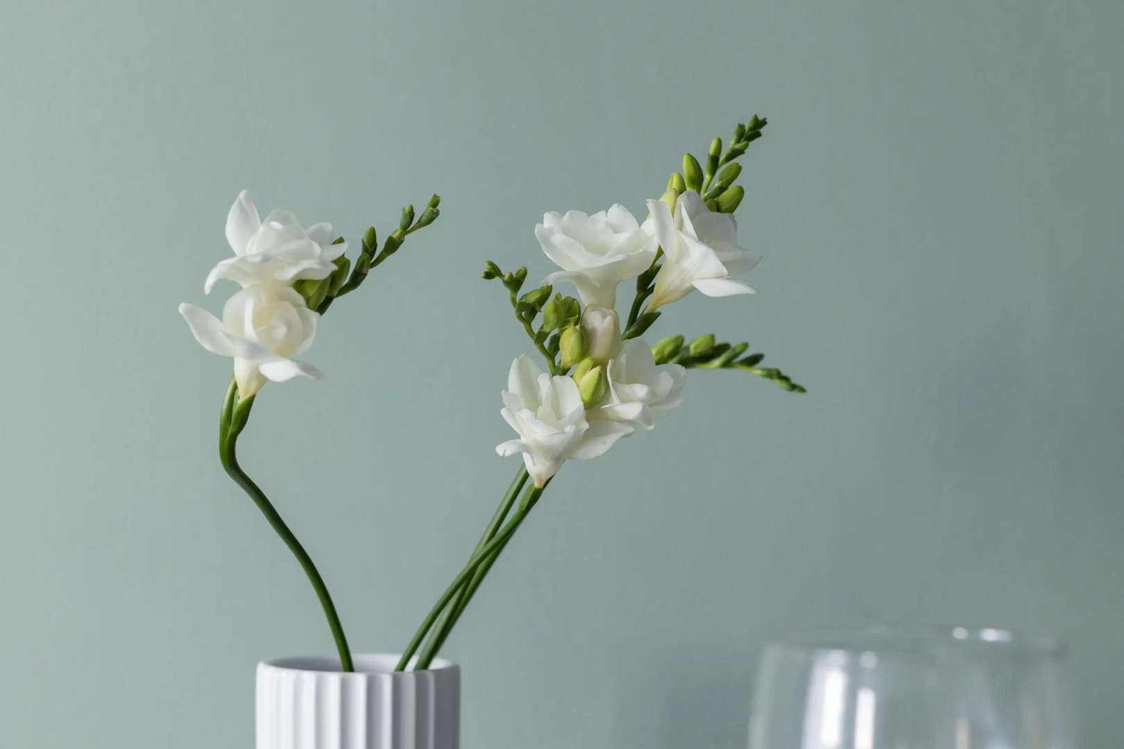 Квартира Уютная Студия у Метро Бухарестская