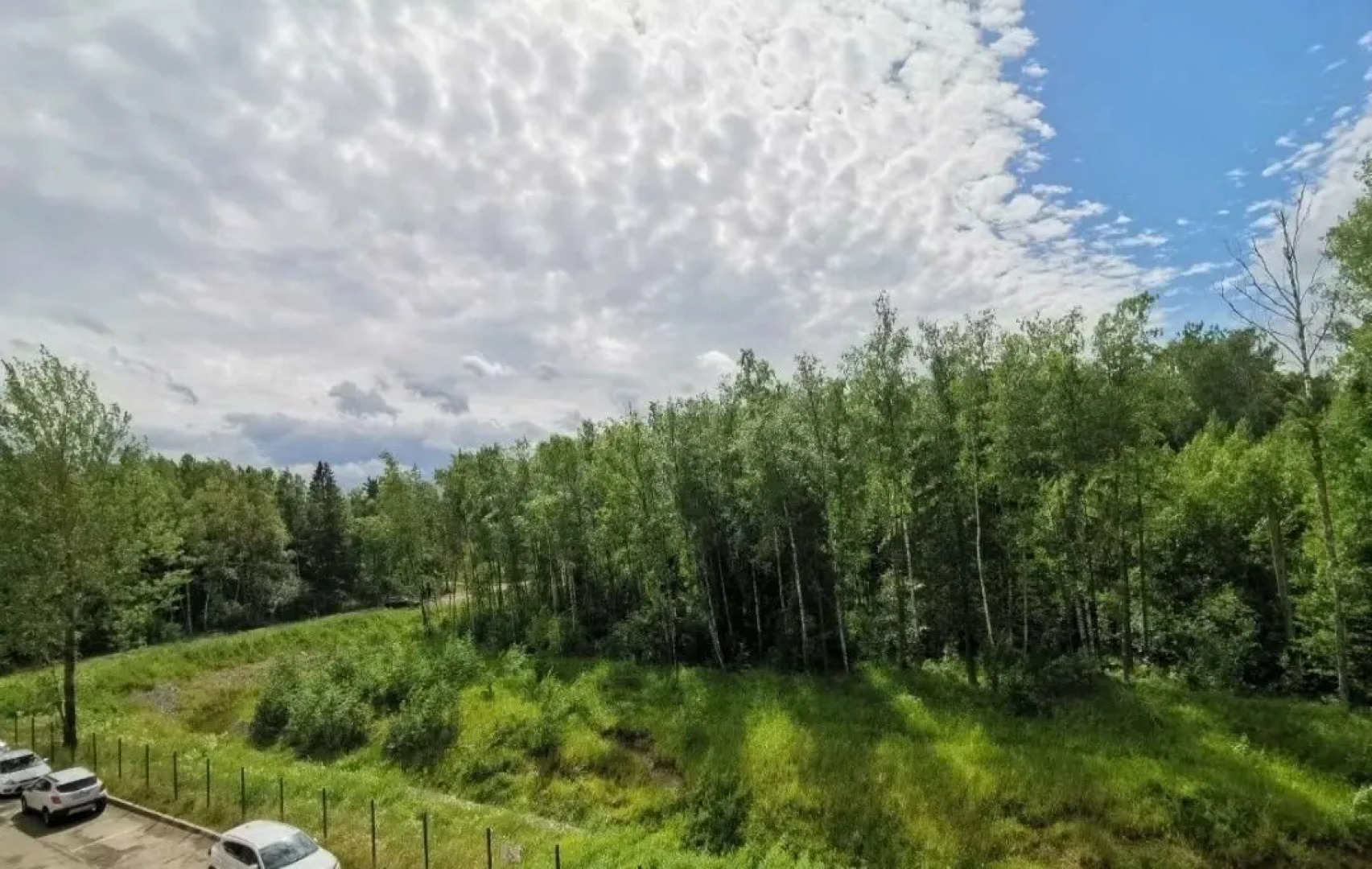 Апартаменты Отдыхаем в Ораниенбауме