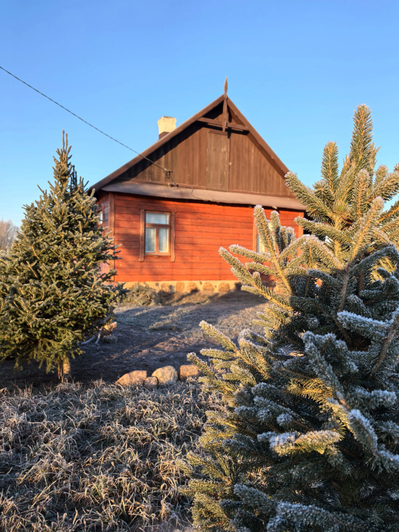 Гостевой дом Агроусадьба Беловежская Светлица