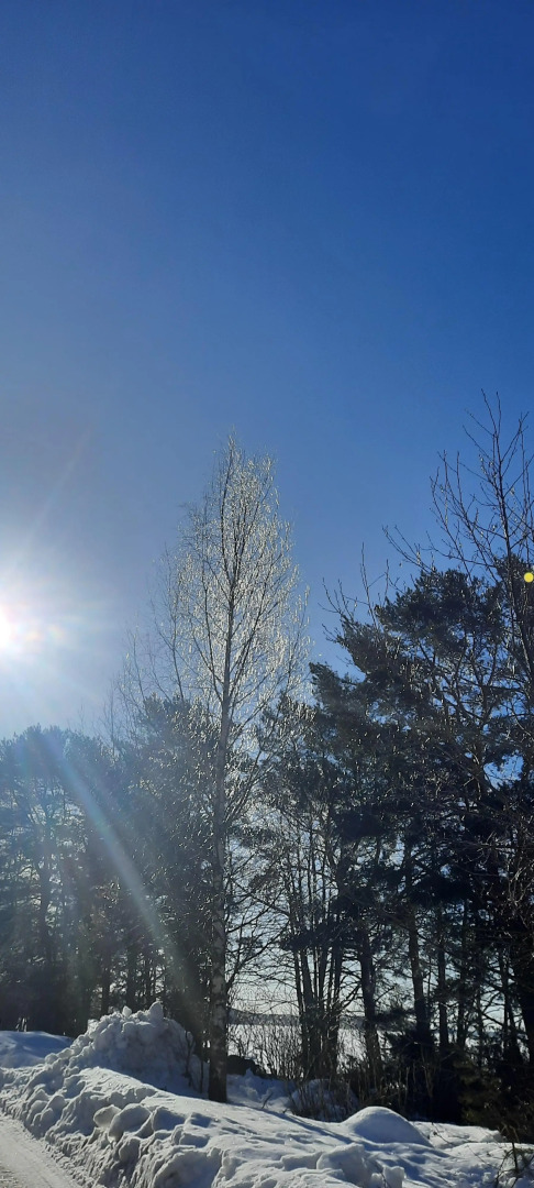 Частный дом в Вязах 2