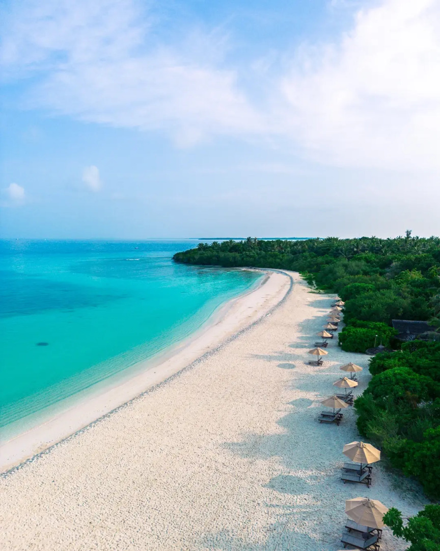 Отель The Barefoot Eco