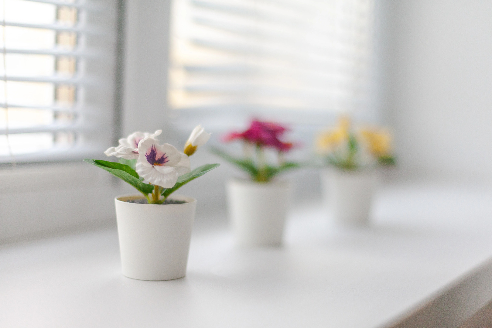 Апартаменты Бизнес в Крутые Ключи