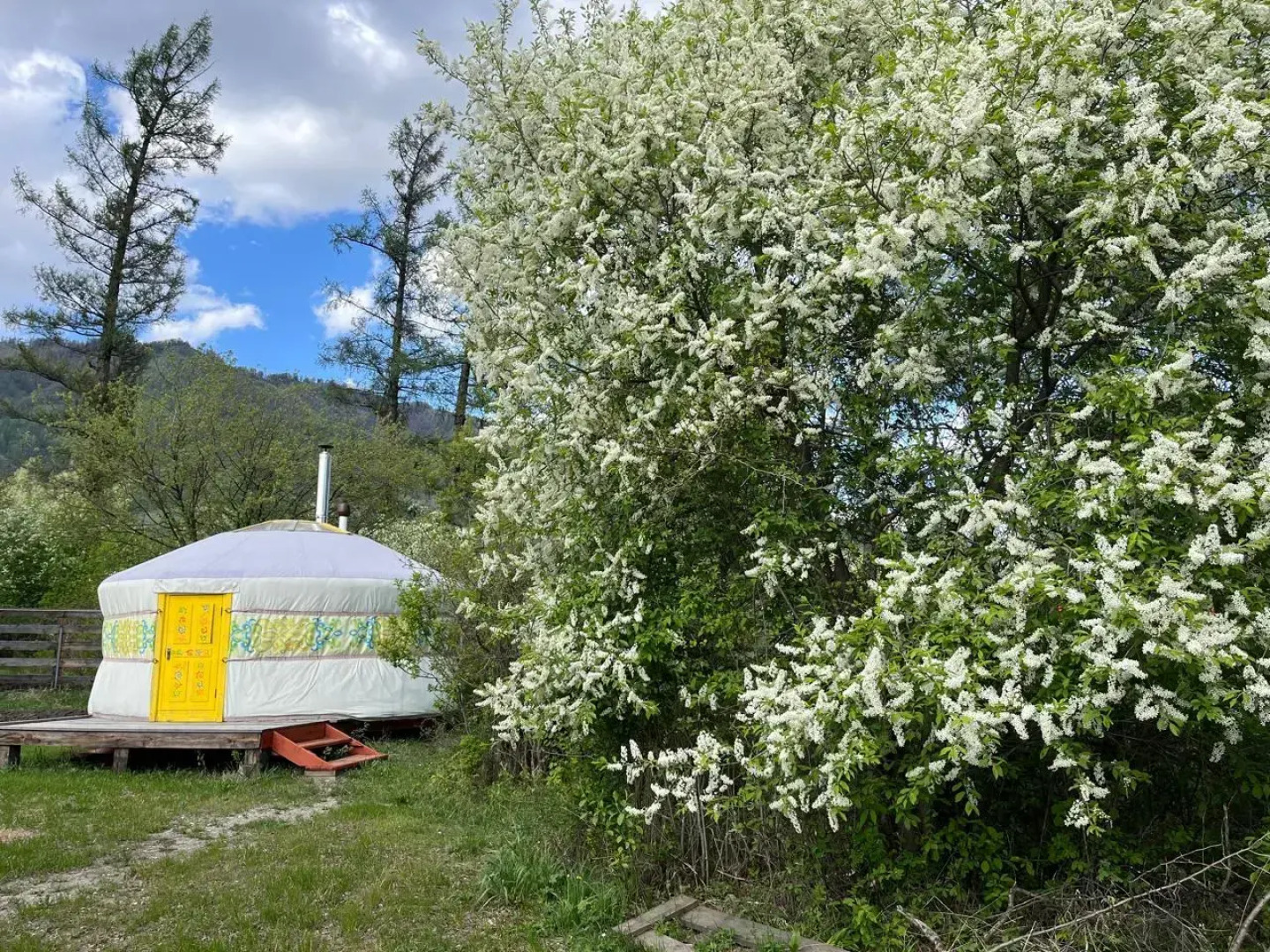 База отдыха Алтайская Роза