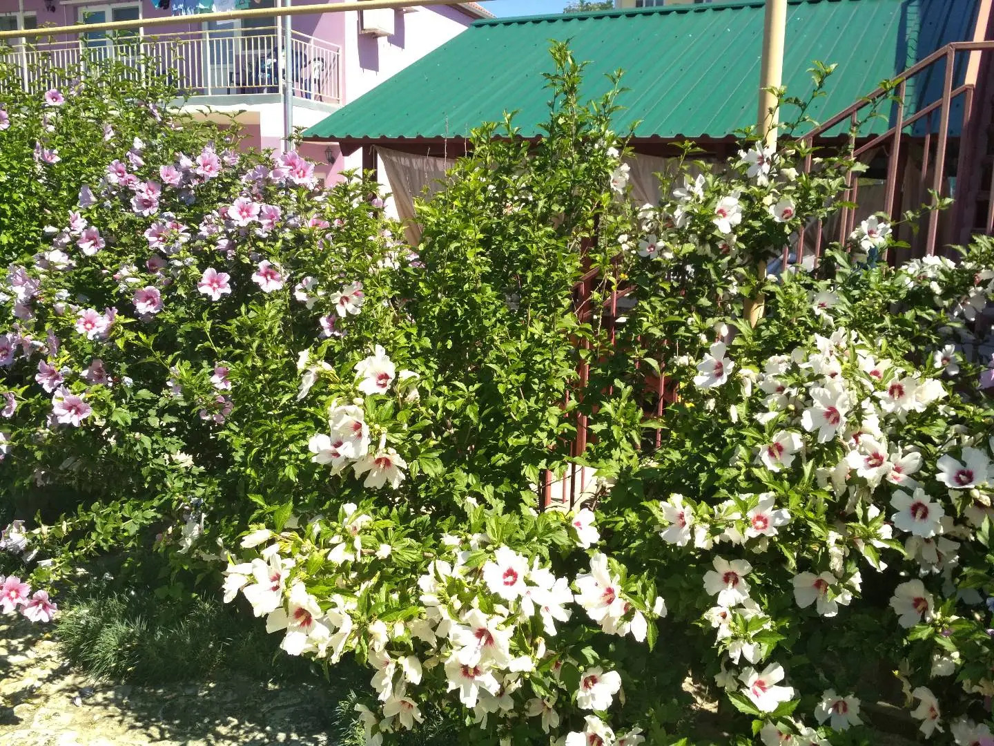 Гостевой Дом Фортуна