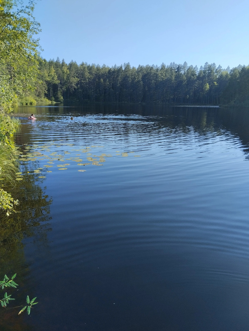 Частный дом Среди озер