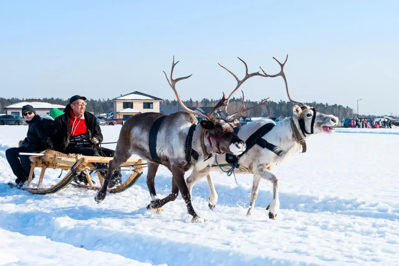 Гостевой дом Барн Хаус Гринвуд