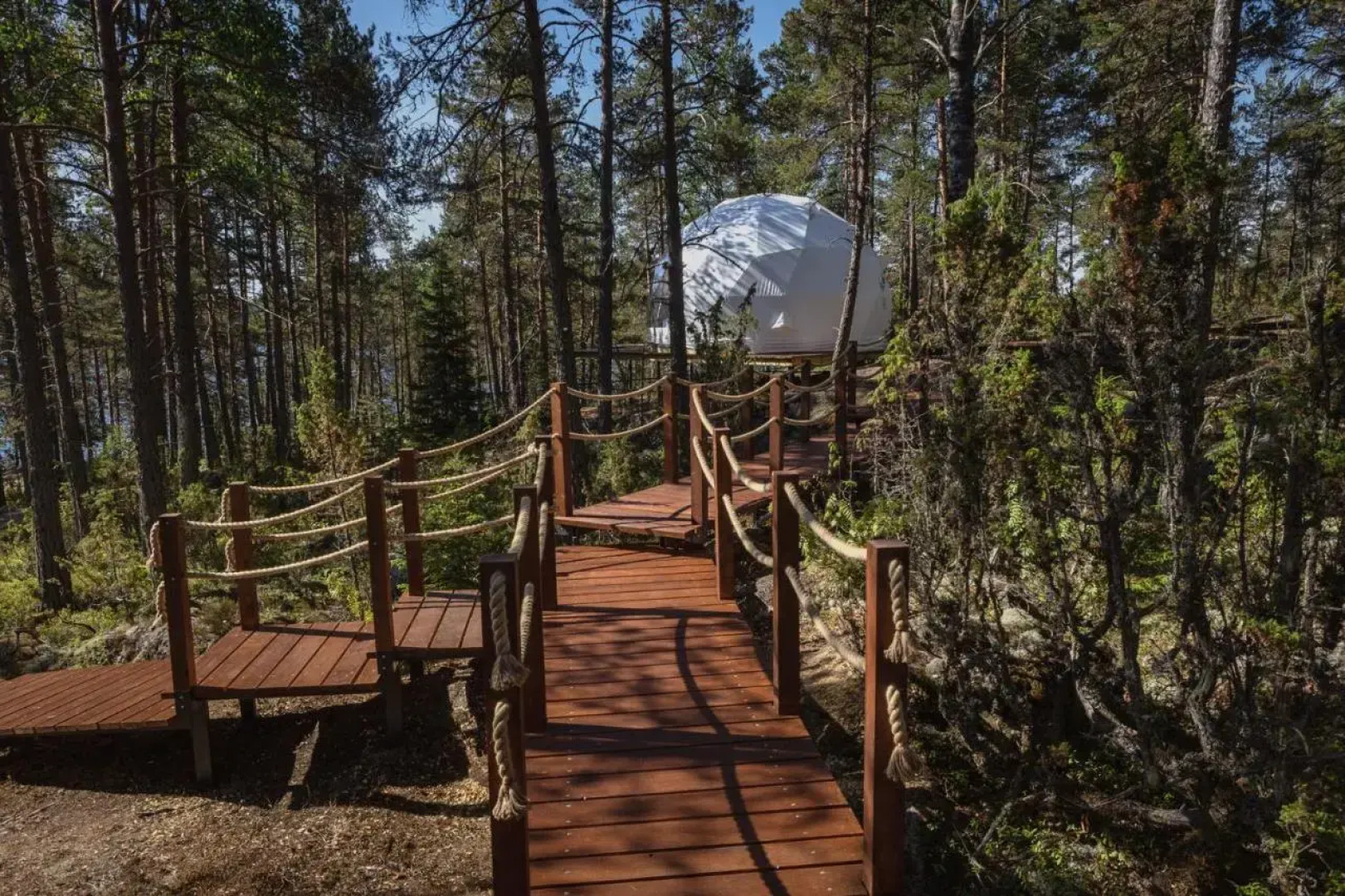 Глэмпинг Lago Ladoga