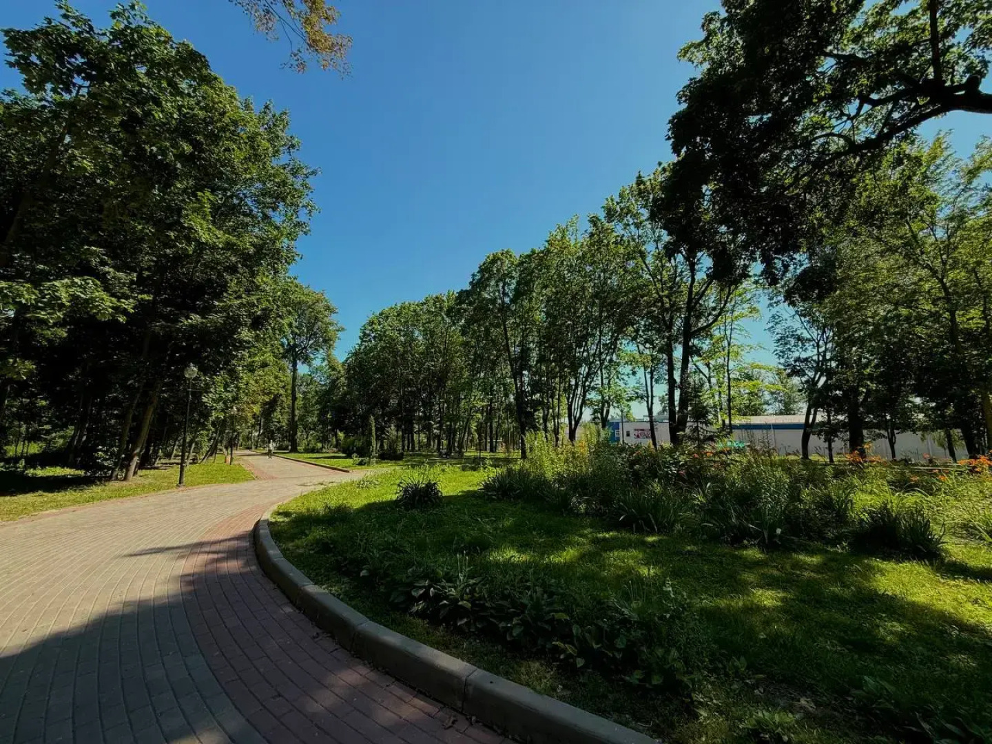 Апартаменты с Джакузи и видом на Парк