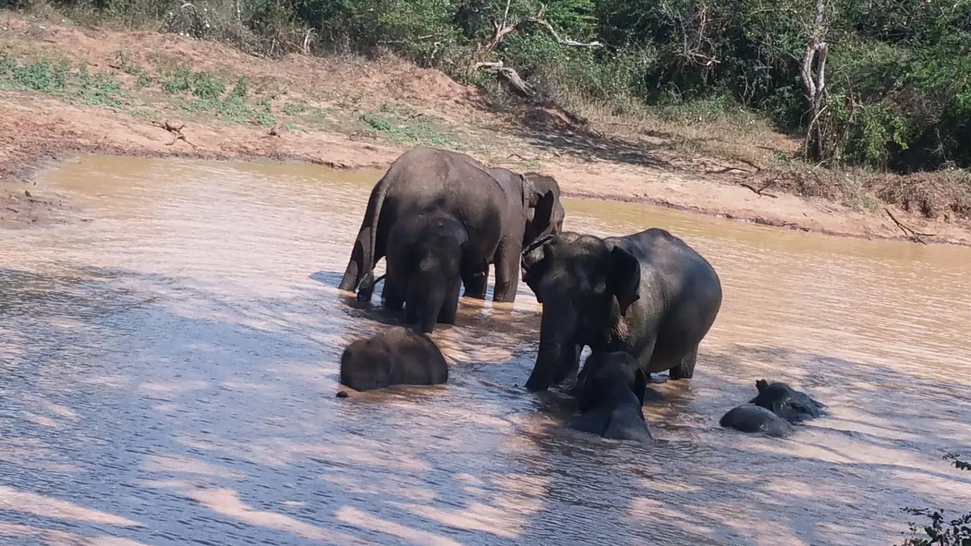 Курортный Отель Heina Nature Resort & Yala Safari