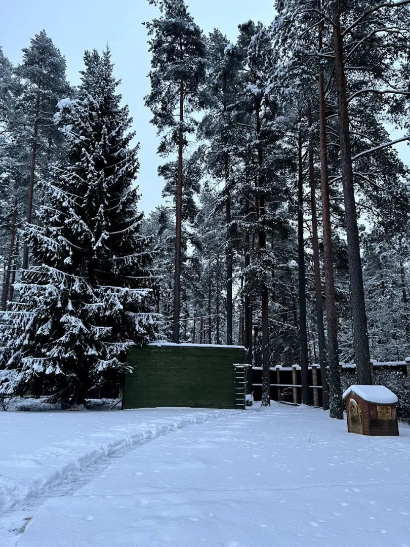 Частный дом Колосково