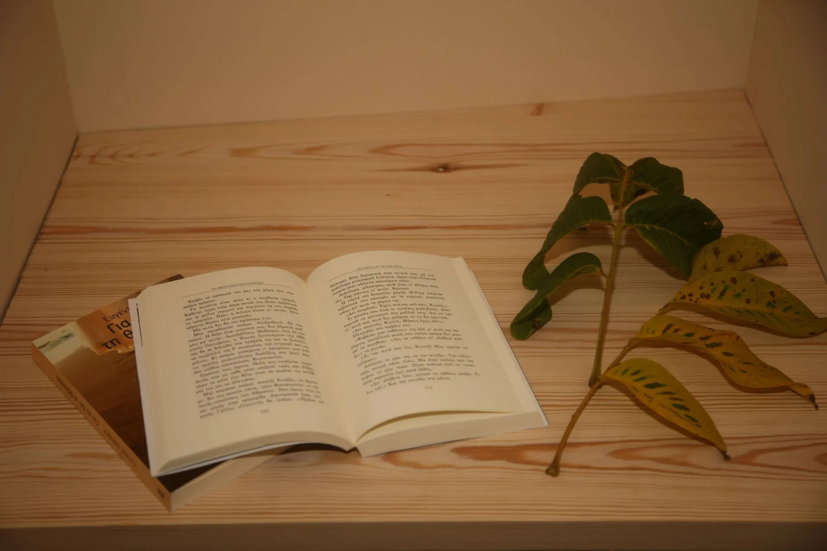 Бутик-отель Rodia